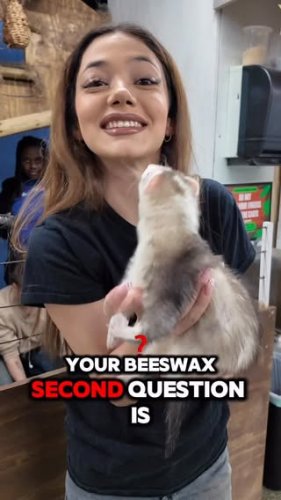 Video post from njexoticpets.