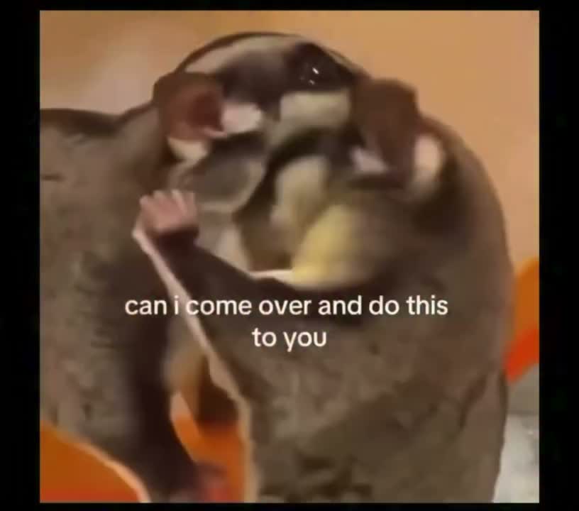 Video post from njexoticpets.