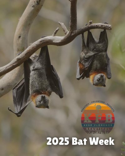 Photo post from wearekfb.