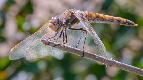 Carousel post from katherinebdaniels.