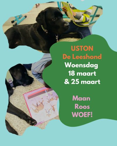 Photo post from bibliotheeksintgillis.