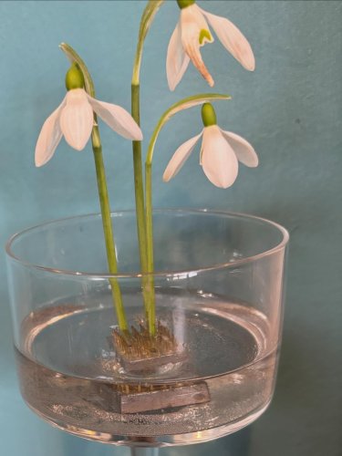 Photo post from gardenhousebrighton.