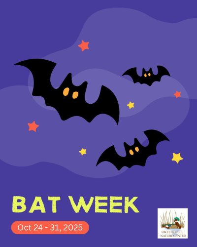 Carousel post from okeeheelee_nature_center.