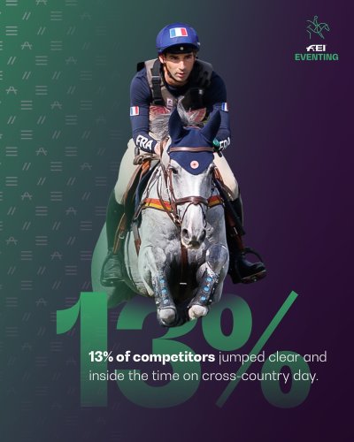 Carousel post from fei_global.