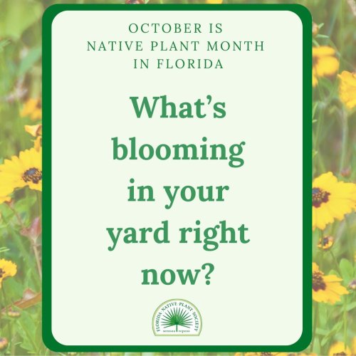 Photo post from pbcc.fnps.