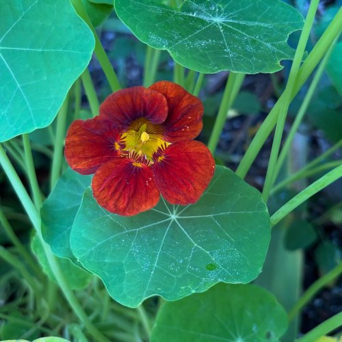 Photo post from gardenhousebrighton.