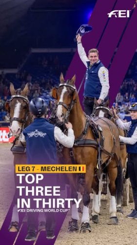 Video post from fei_global.