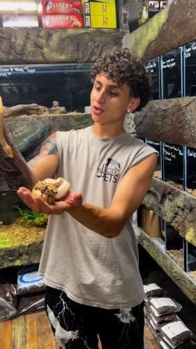 Video post from njexoticpets.