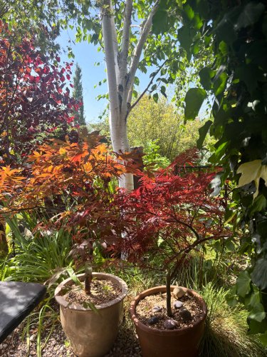 Photo post from gardenhousebrighton.