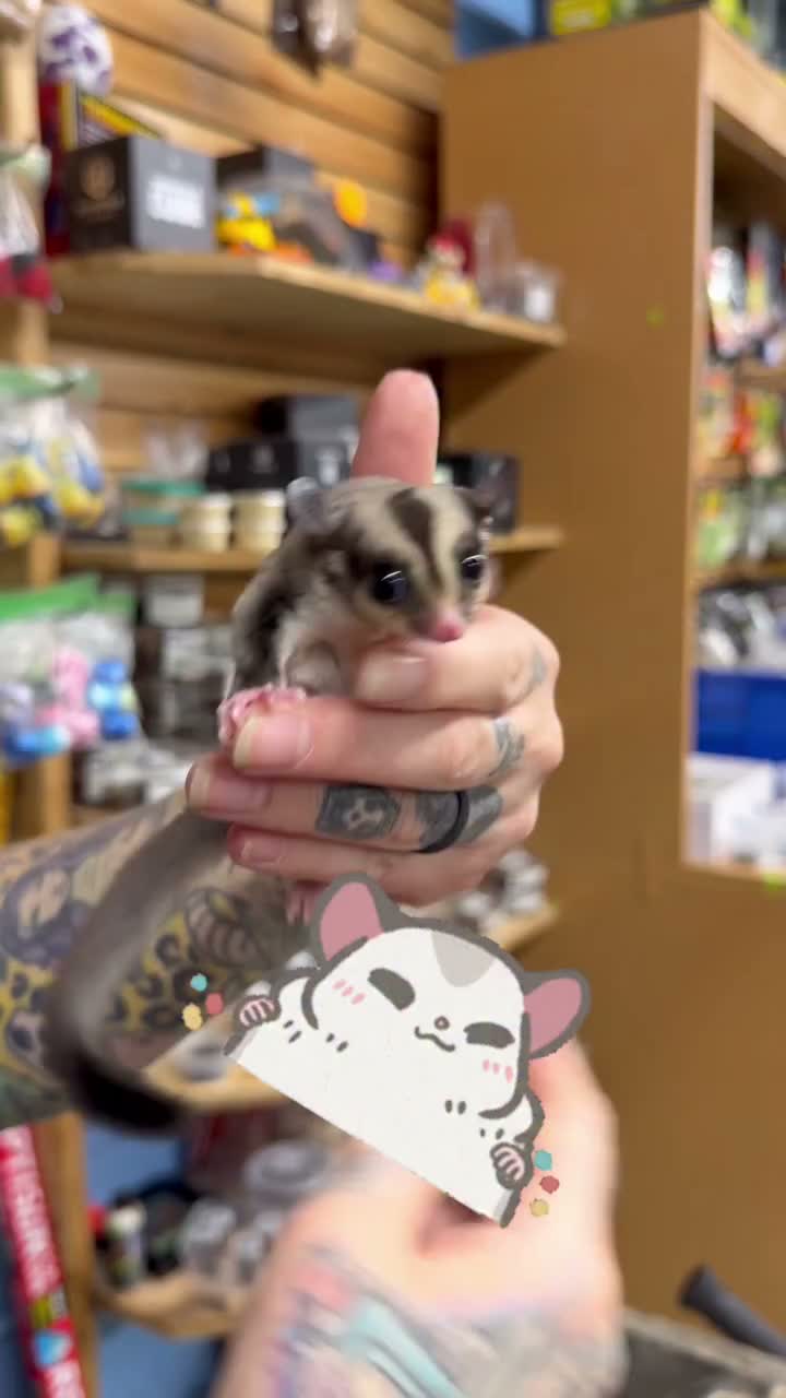Video post from njexoticpets.