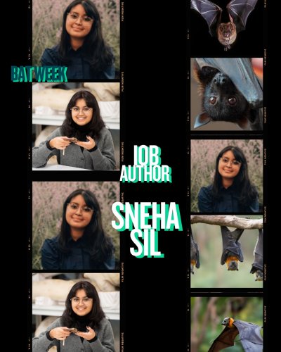 Photo post from iobjournal.