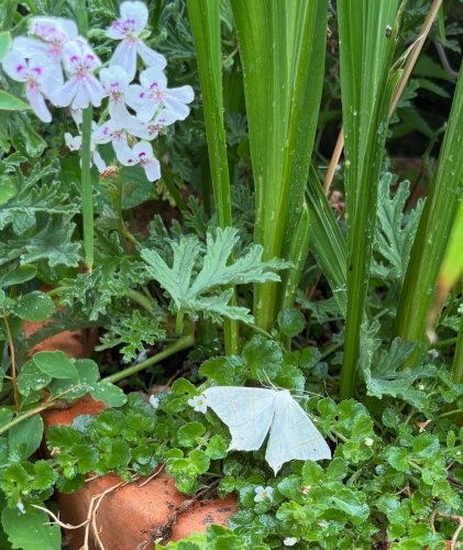 Photo post from gardenhousebrighton.