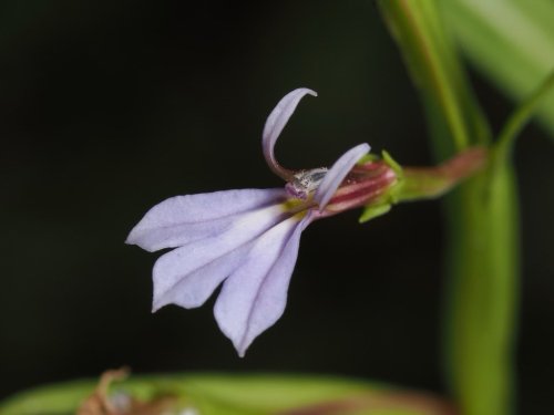 Photo post from fynboslife.