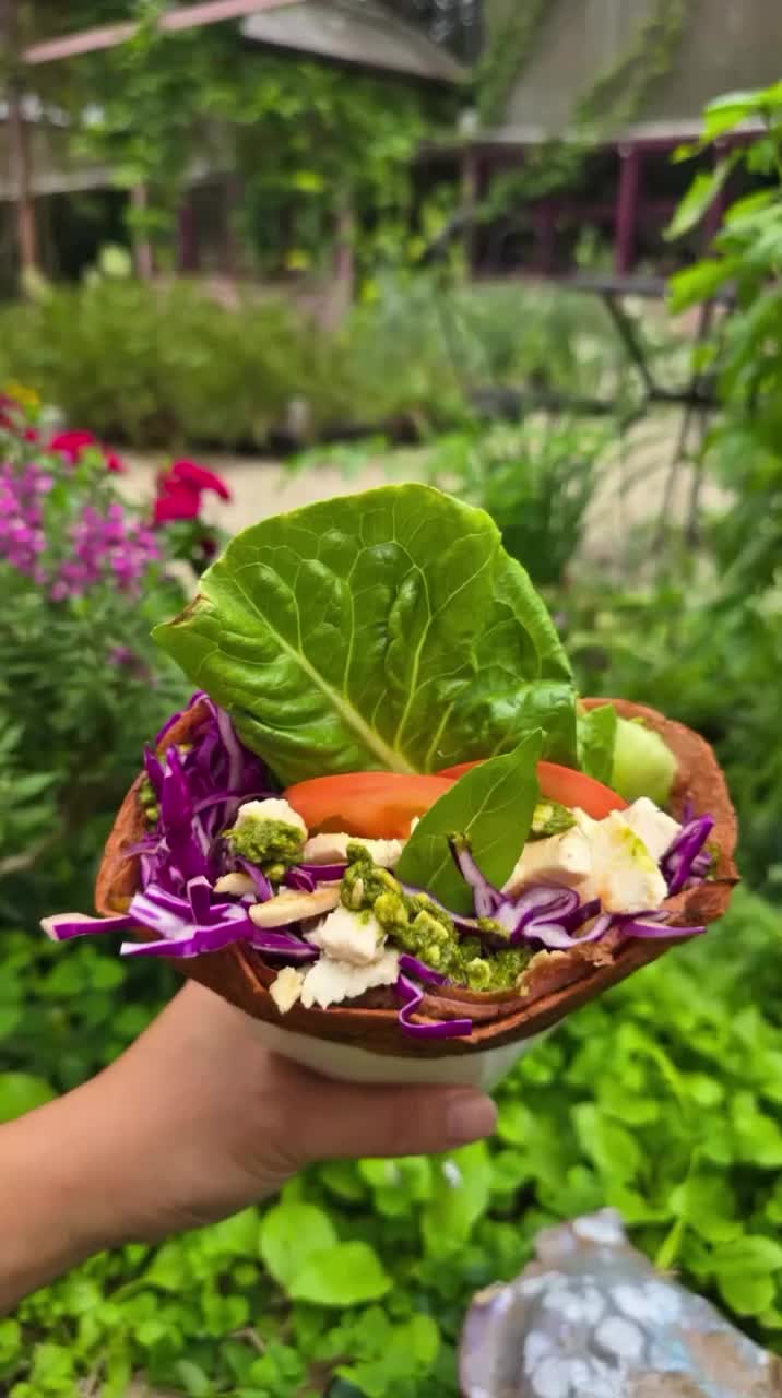 Video post from currumbinvalleyharvest.