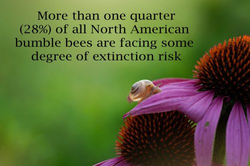 Photo post from mistyyoungphoto.