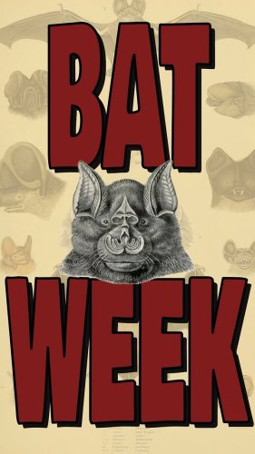 Video post from cinebeth.