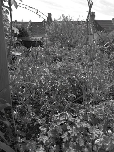 Photo post from gardenhousebrighton.
