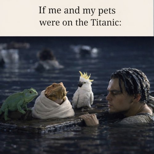 Photo post from njexoticpets.