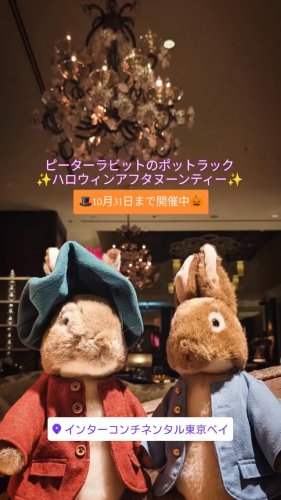 ピーターラビット　フィギリン　12個セット imgrc0095900763.jpg