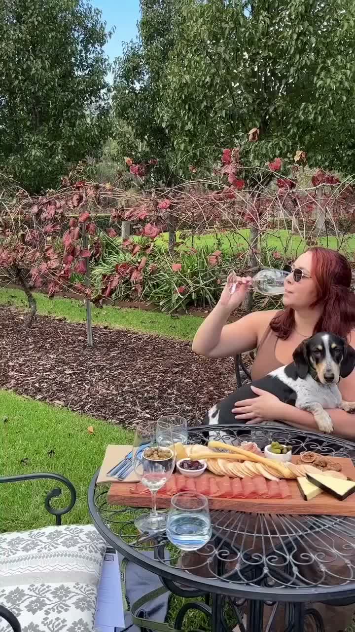 Video post from gundogestate.