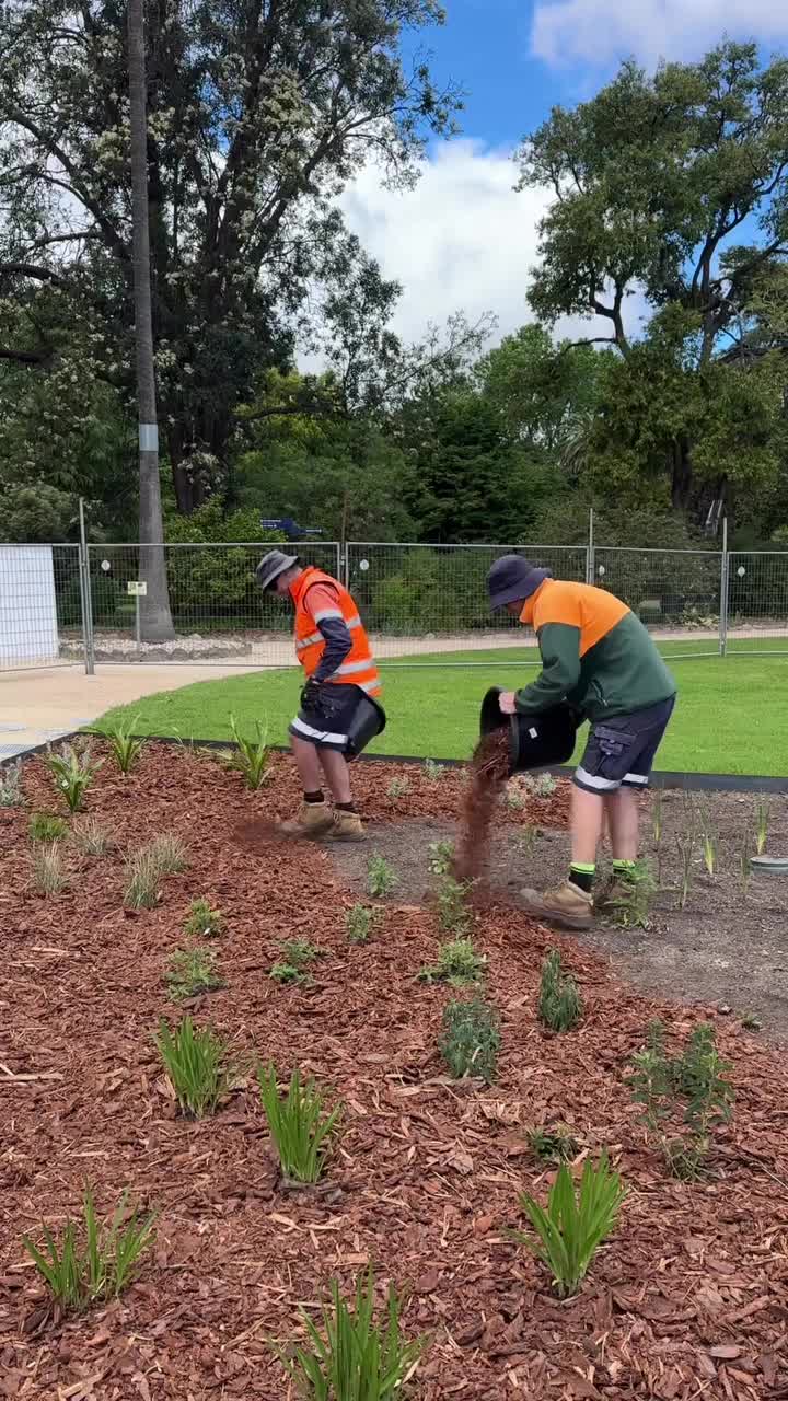 Video post from alburycity.