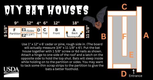 Photo post from texastestedseeds.