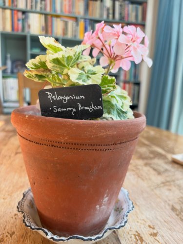 Photo post from gardenhousebrighton.
