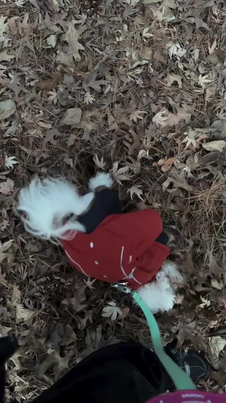 Video post from anc_parc.