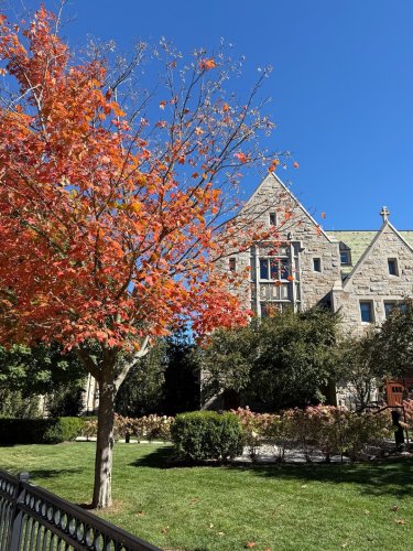 Photo post from bostoncollege.