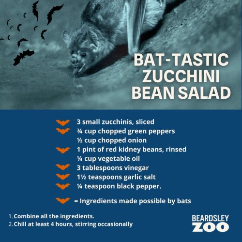 Photo post from ctbeardsleyzoo.