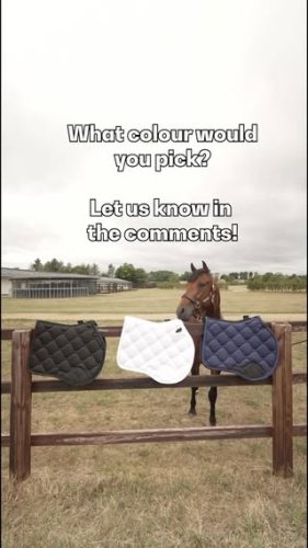 Video post from fei_global.