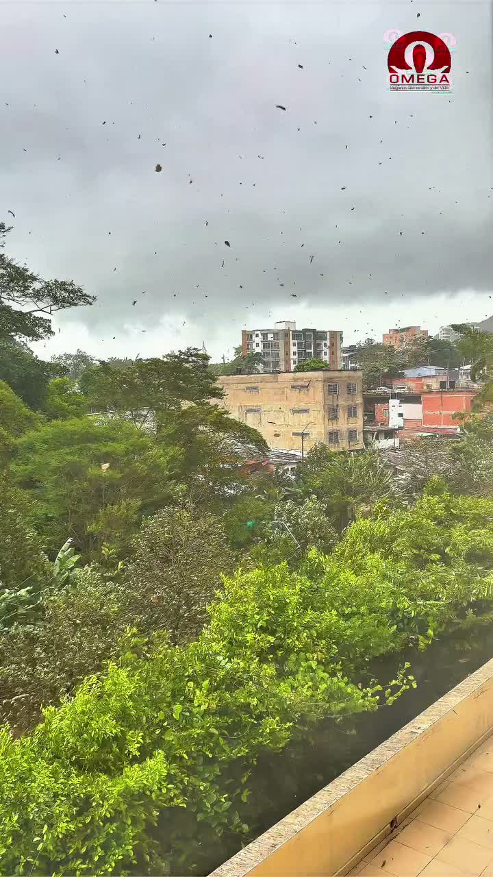 Video post from omegasegurosco.