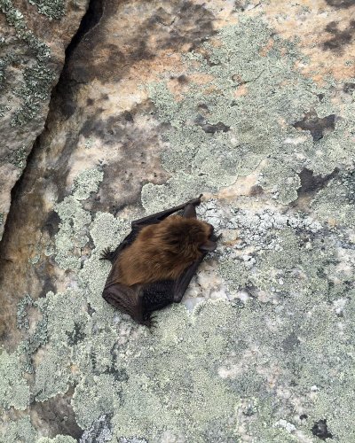 Photo post from mohonkpreserve.