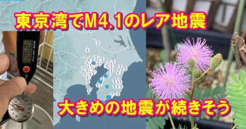 Photo post from nmomose.