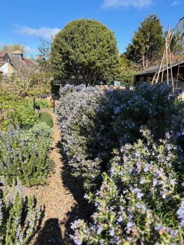 Photo post from gardenhousebrighton.