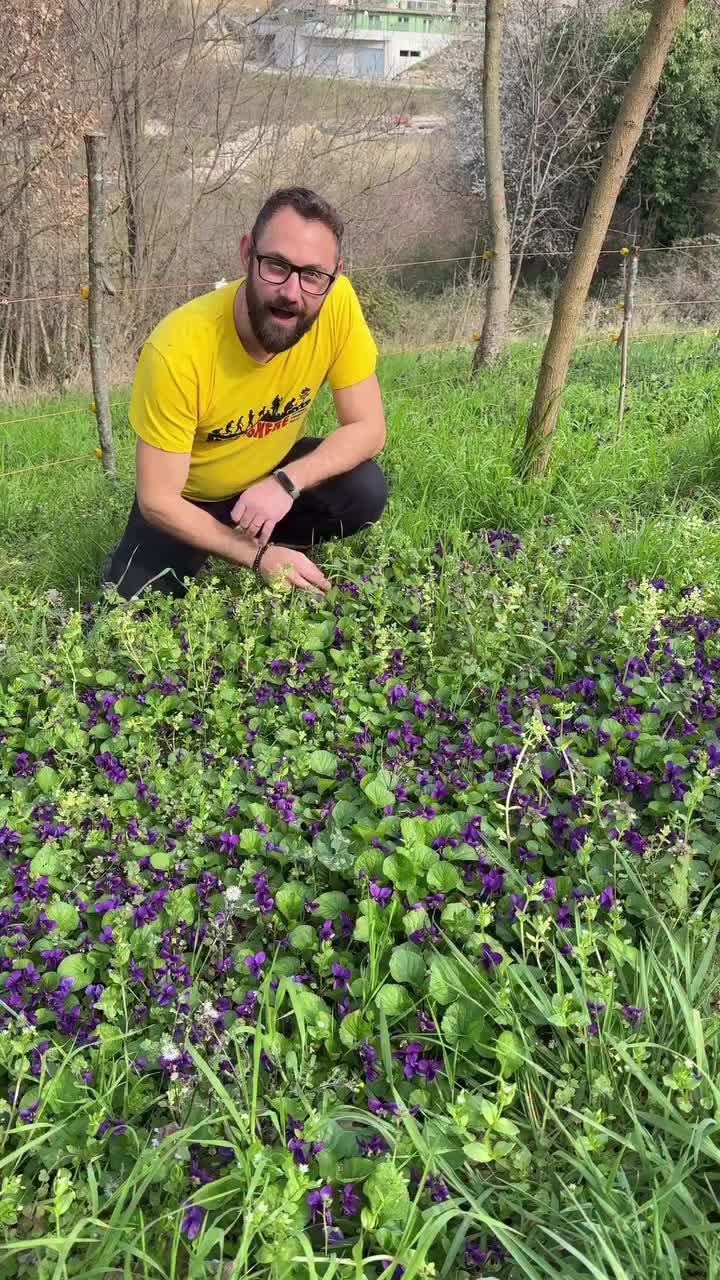 Video post from molishere_.