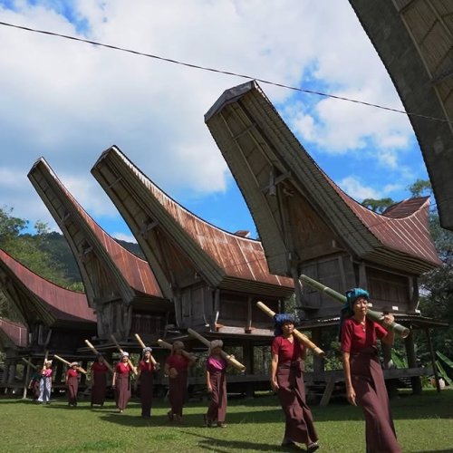 Video post from visittorajautara.