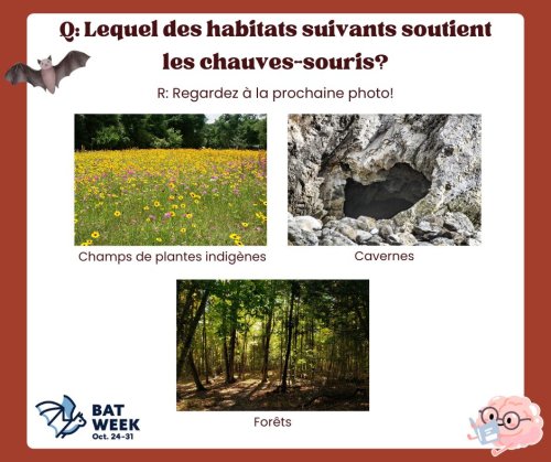 Carousel post from merseytobeatic.