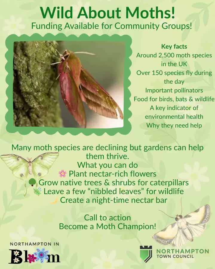 Video post from nninbloom.