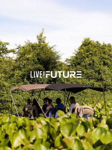 Carousel post from liveoficial.