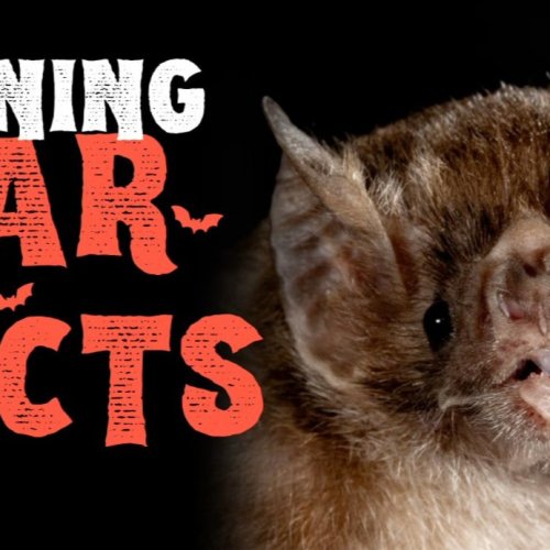 Photo post from shears.rick.