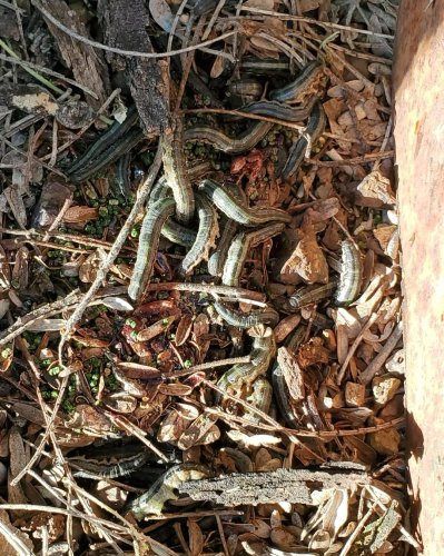 Photo post from rockinriverranch.