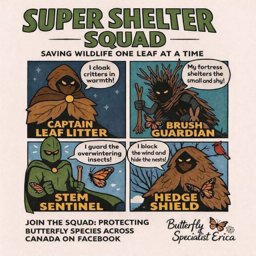 Photo post from protectingbutterfliesincanada.