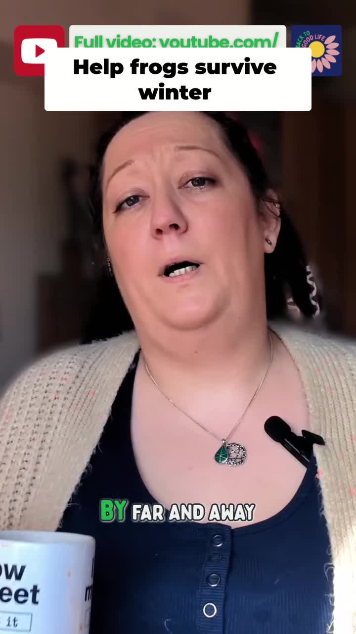 Video post from back.tothegoodlife.