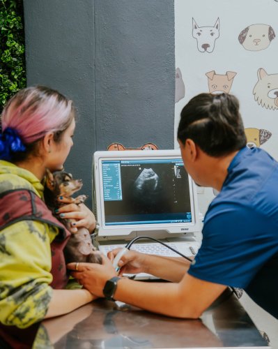 Photo post from medicalpettj.