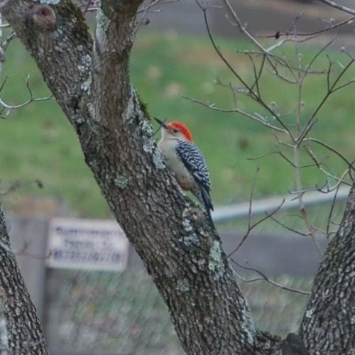 Photo post from thebeeandbee042608.