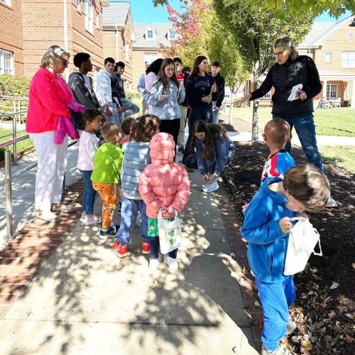 Carousel post from saeslions.