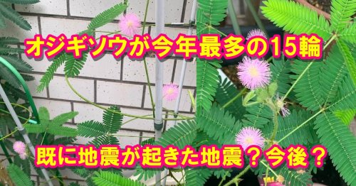 Photo post from nmomose.