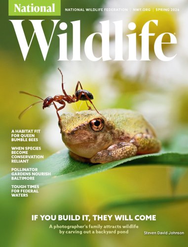 Photo post from nationalwildlifemagazine.
