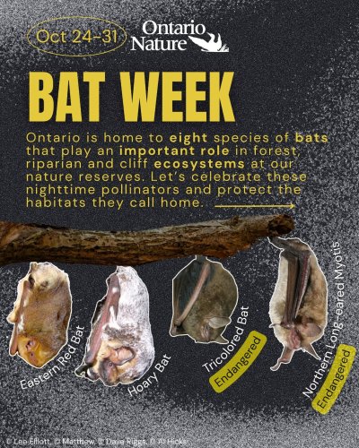 Carousel post from ontarionature.